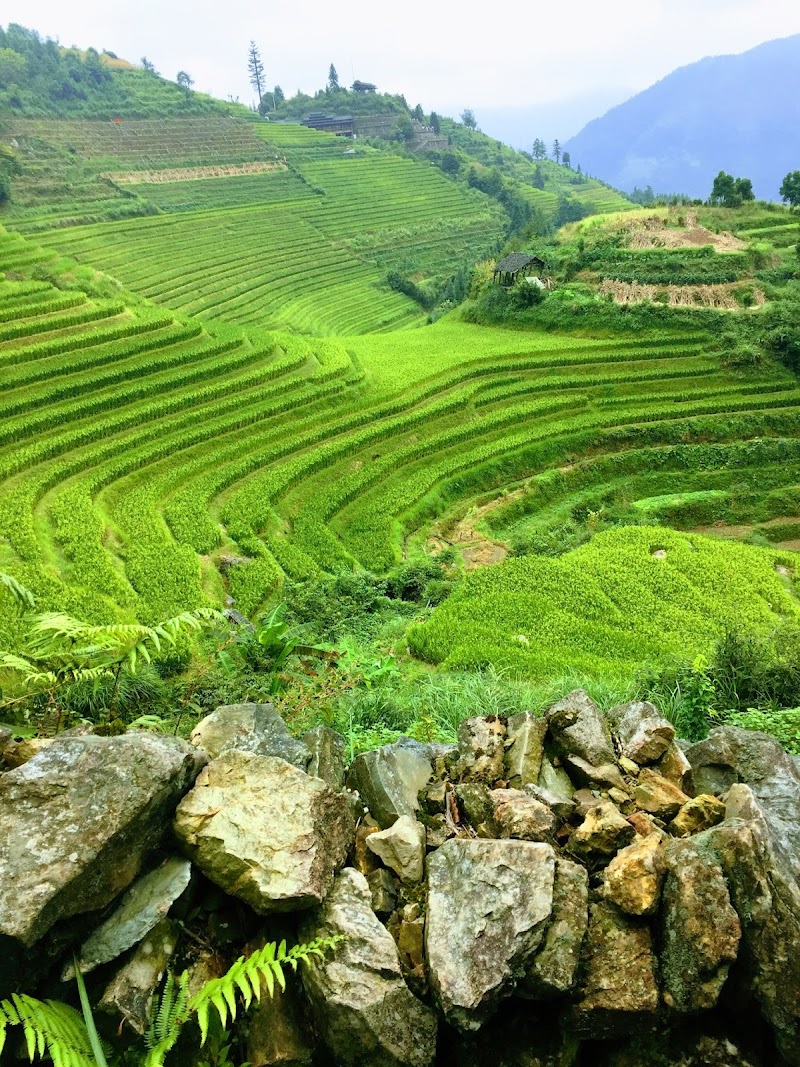 Experience Traditional Yao and Zhuang Culture - Guilin - China - booked ai