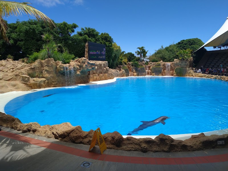 Loro Parque - Puerto de la Cruz - Spain - booked ai