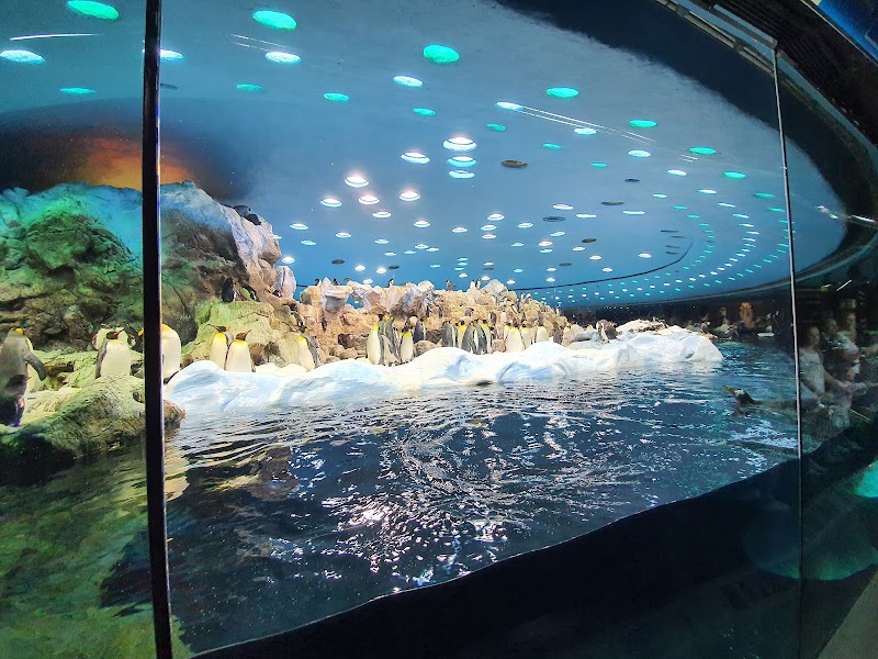 Loro Parque - Puerto de la Cruz - Spain - booked ai