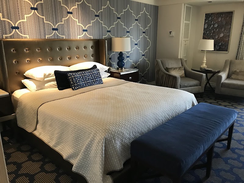 Bellagio Hotel & Casino - Las Vegas - USA - booked ai