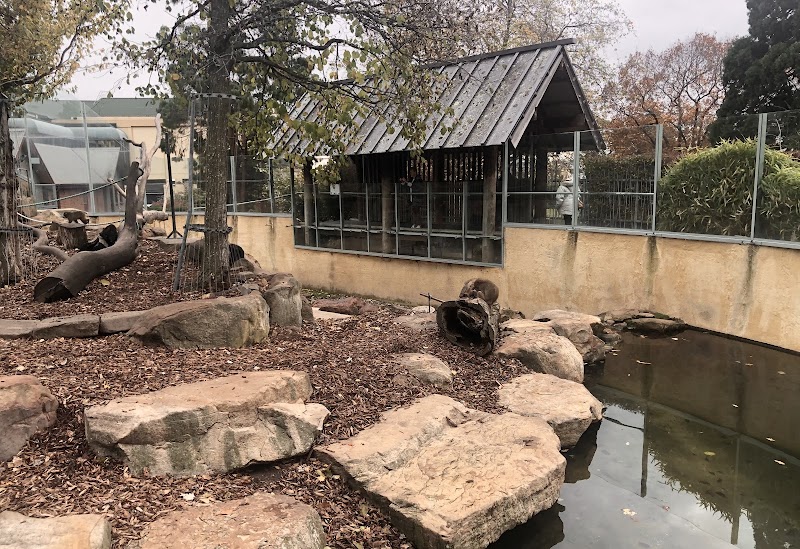 City Park and Monkey Island - Launceston - Australia - booked ai