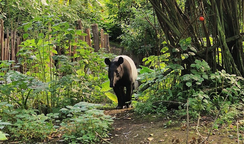 Leipzig Zoo (Zoologischer Garten Leipzig) - Leipzig - Germany - booked ai