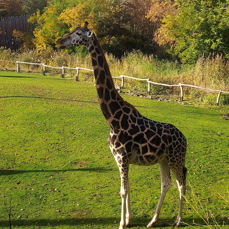 Leipzig Zoo (Zoologischer Garten Leipzig) - Leipzig - Germany - booked ai