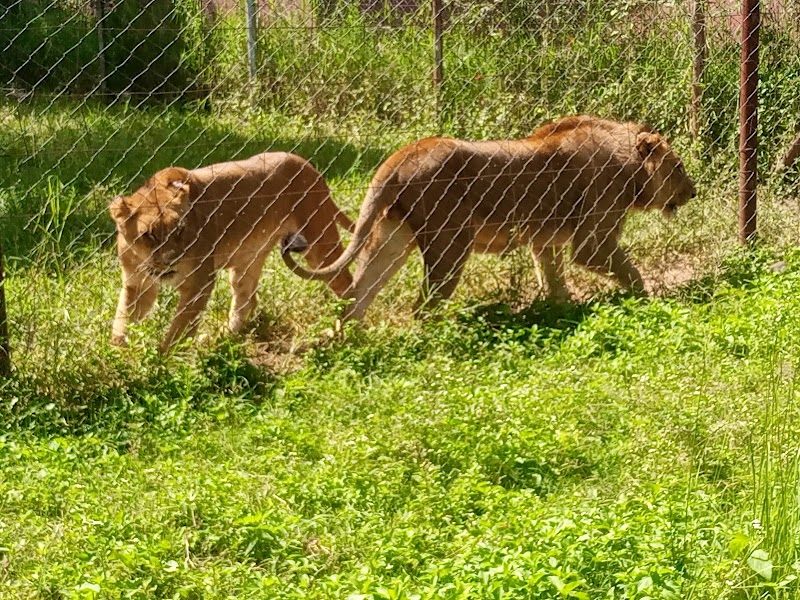 Explore Munda Wanga Environmental Park - Chilanga - Zambia - booked ai