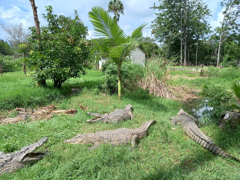 Explore Munda Wanga Environmental Park - Chilanga - Zambia - booked ai