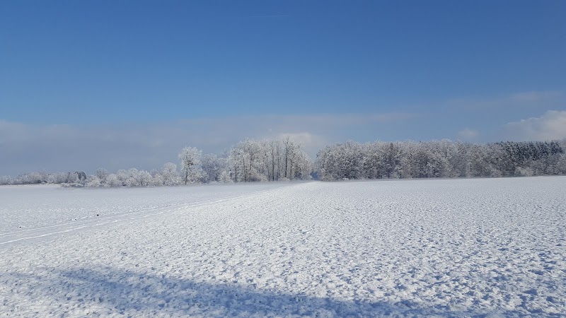 Rheinauen Nature Reserve - Lustenau - Austria - booked ai