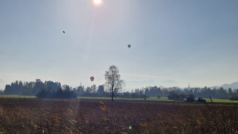 Rheinauen Nature Reserve - Lustenau - Austria - booked ai