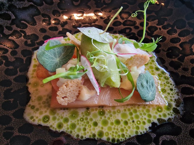 Falco - Leipzig - Germany - booked ai