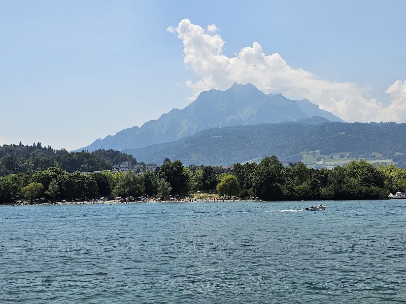 Take a Lake Lucerne Boat Cruise - Luzern - Switzerland - booked ai