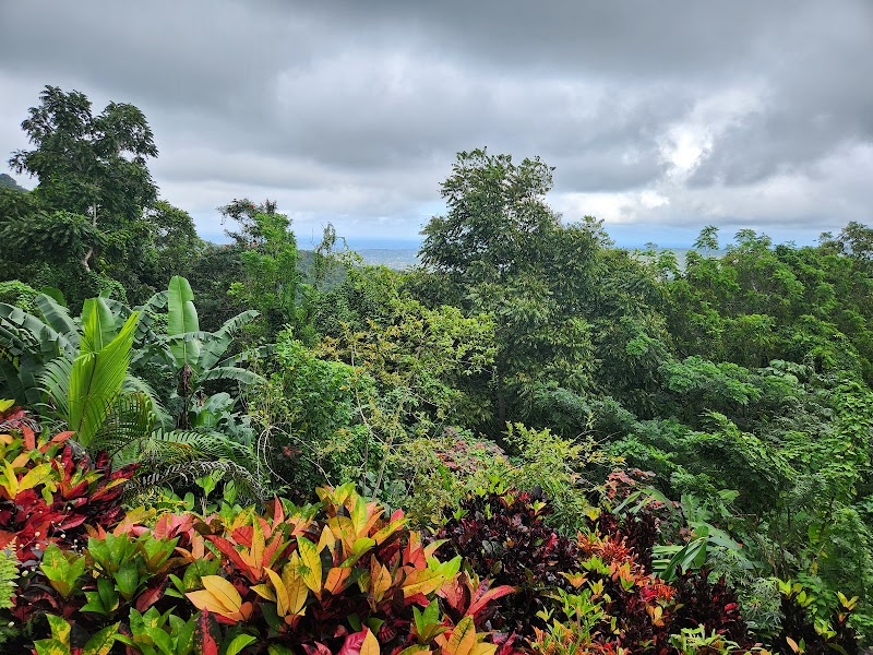 Hanover Museum - Montego Bay - Jamaica - booked ai