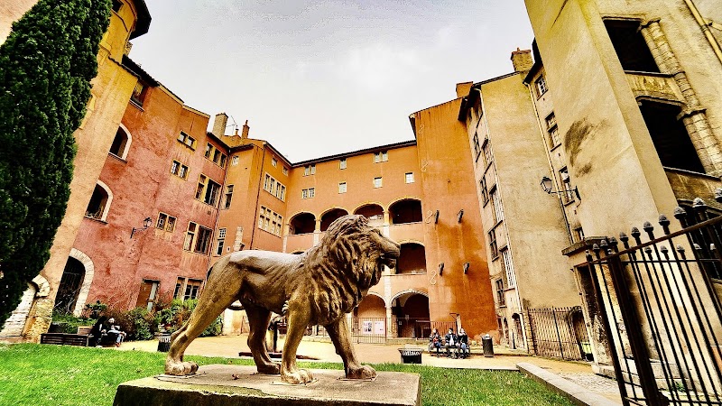 Explore Vieux Lyon (Old Lyon) - Lyon - France - booked ai