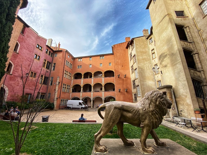 Explore Vieux Lyon (Old Lyon) - Lyon - France - booked ai