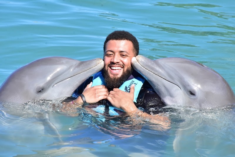 Dolphin Cove Negril - Montego Bay - Jamaica - booked ai