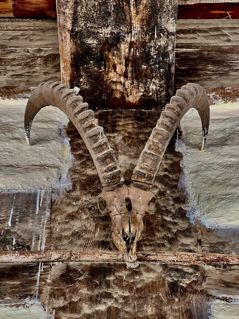 Hadimba Temple Visit - Manali - India - booked ai