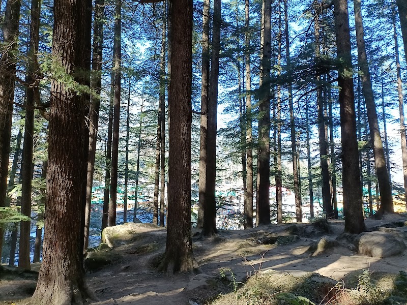 Hadimba Temple Visit - Manali - India - booked ai