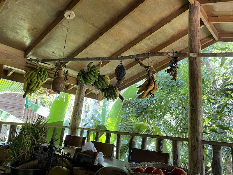 Zimbali's Mountain Cooking Studio - Grange Hill - Jamaica - booked ai