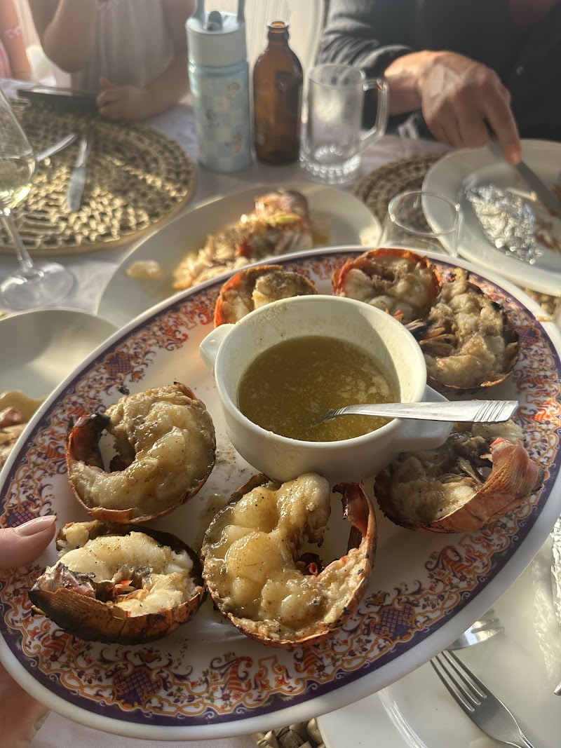 The Lobster Trap - Hopewell - Jamaica - booked ai