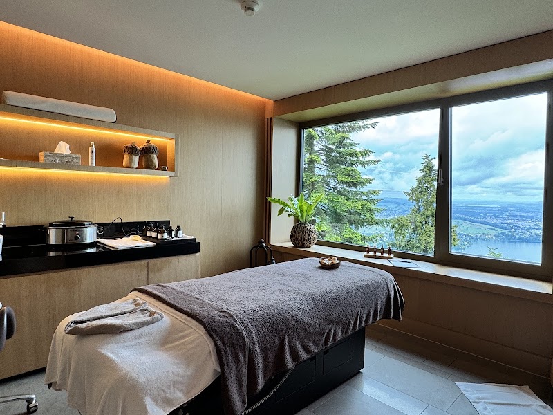 Bürgenstock Hotel & Alpine Spa - Obbürgen - Switzerland - booked ai