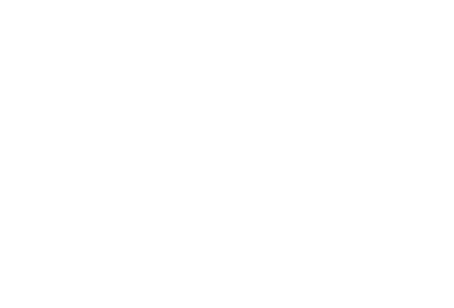 Logo dentalrobot white