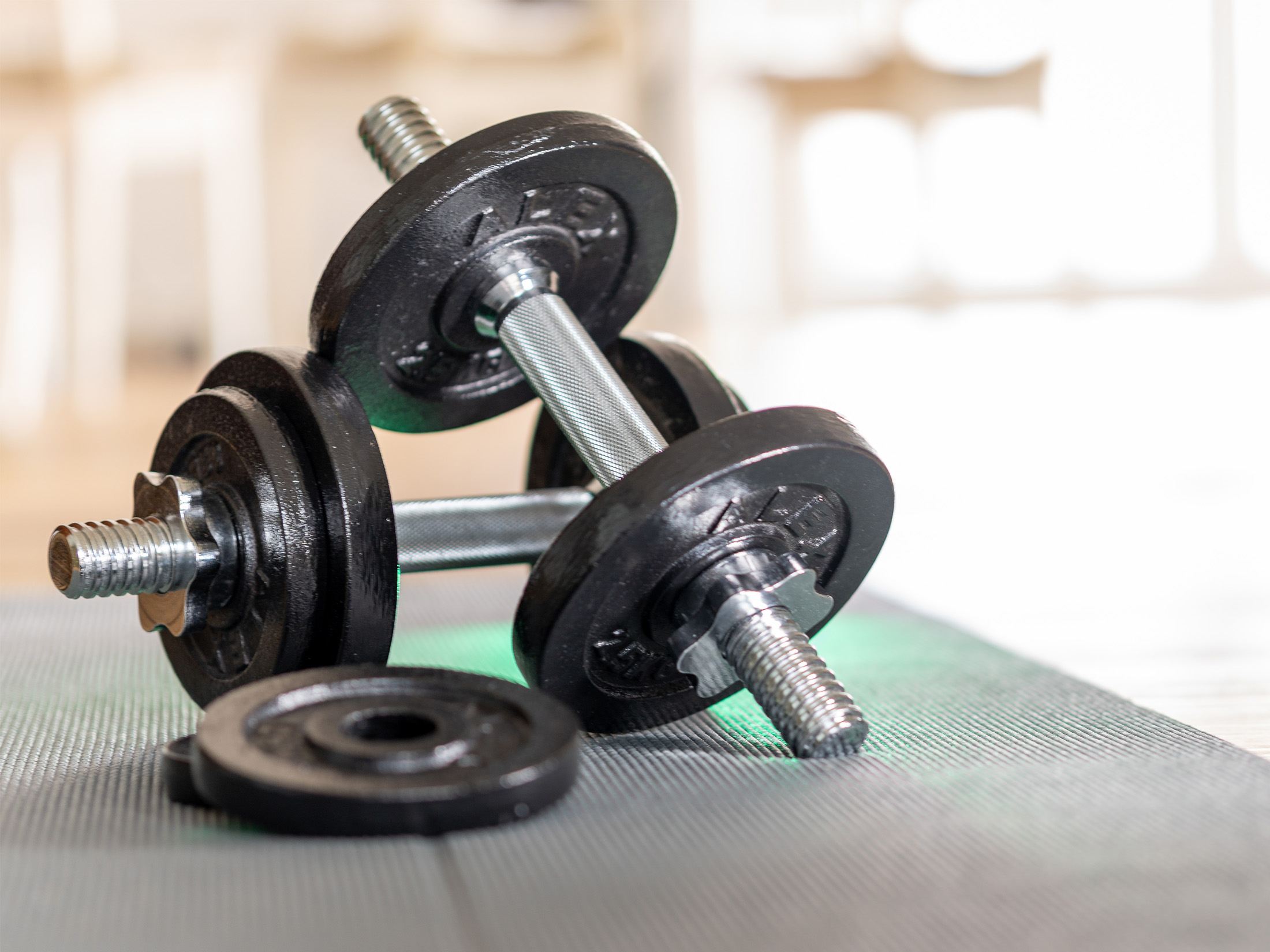 Staub Krafttraining Kurzhanteln