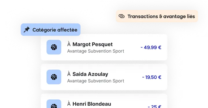 Comptabilité CSE, catégorisation des transactions effectuées.