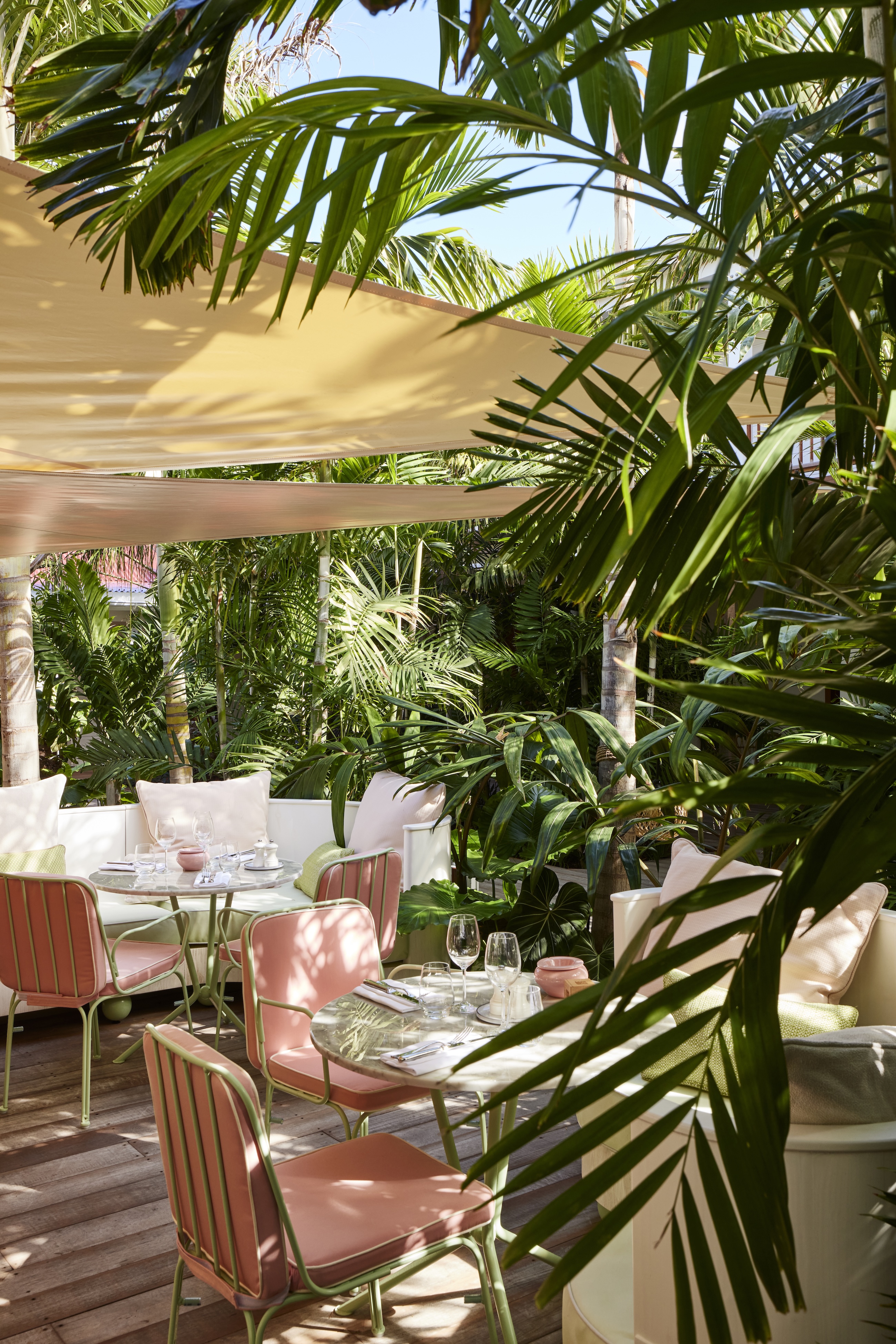 Terrasse du restaurant Tropical Kitchen au Tropical Hotel, sous les palmiers, Saint-Barthélemy