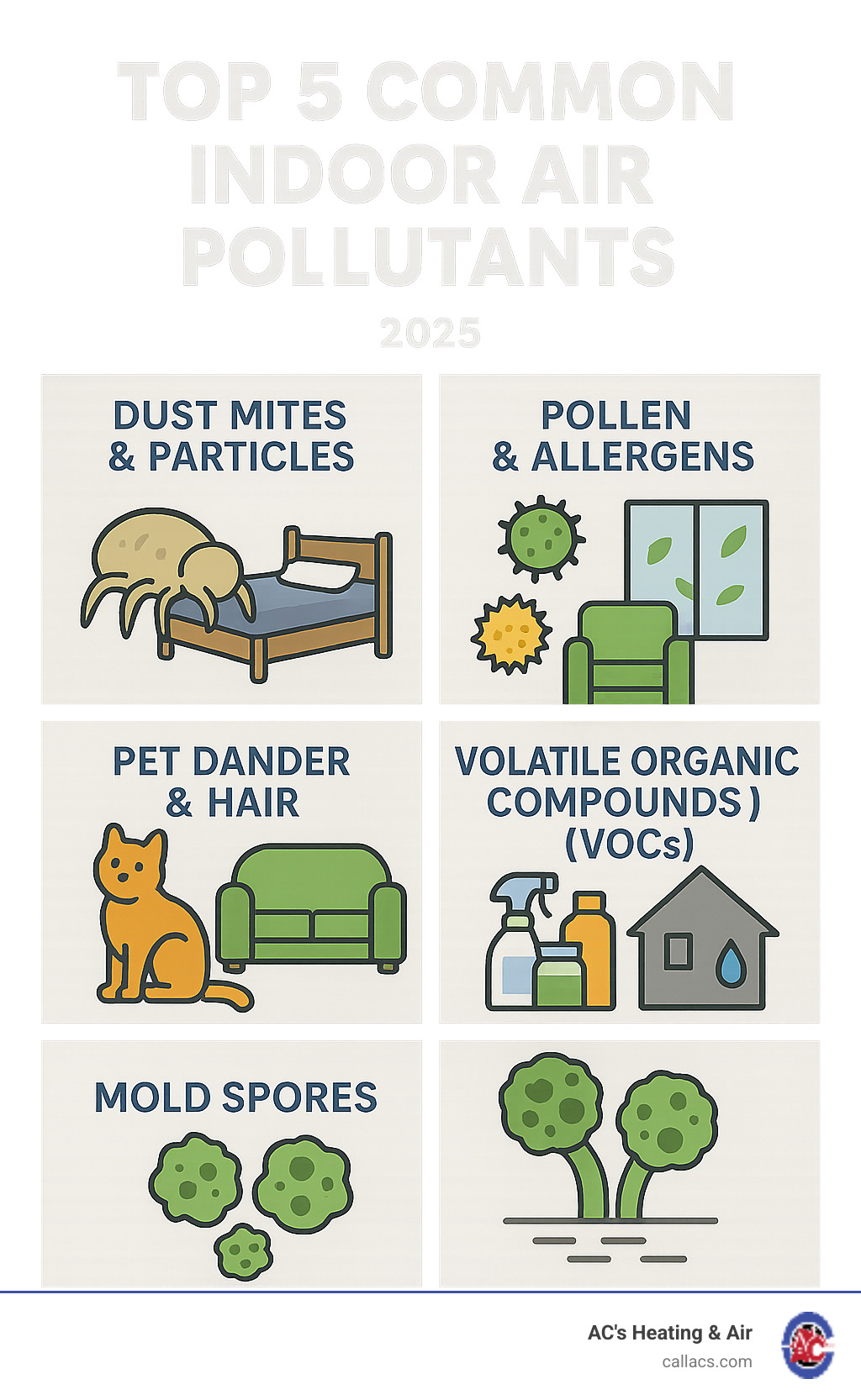 Infographic showing the top 5 common indoor air pollutants: dust mites and particles, pollen and allergens, pet dander and hair, volatile organic compounds (VOCs) from household products, and mold spores from humidity, with visual representations of each pollutant type and their typical sources in homes - home air filtration system infographic 