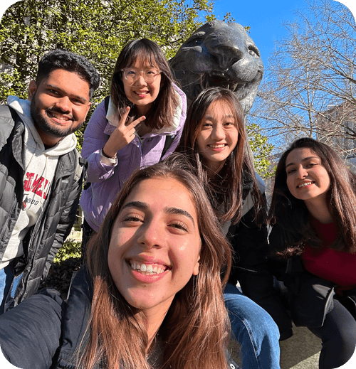 Princeton Capstone About Us