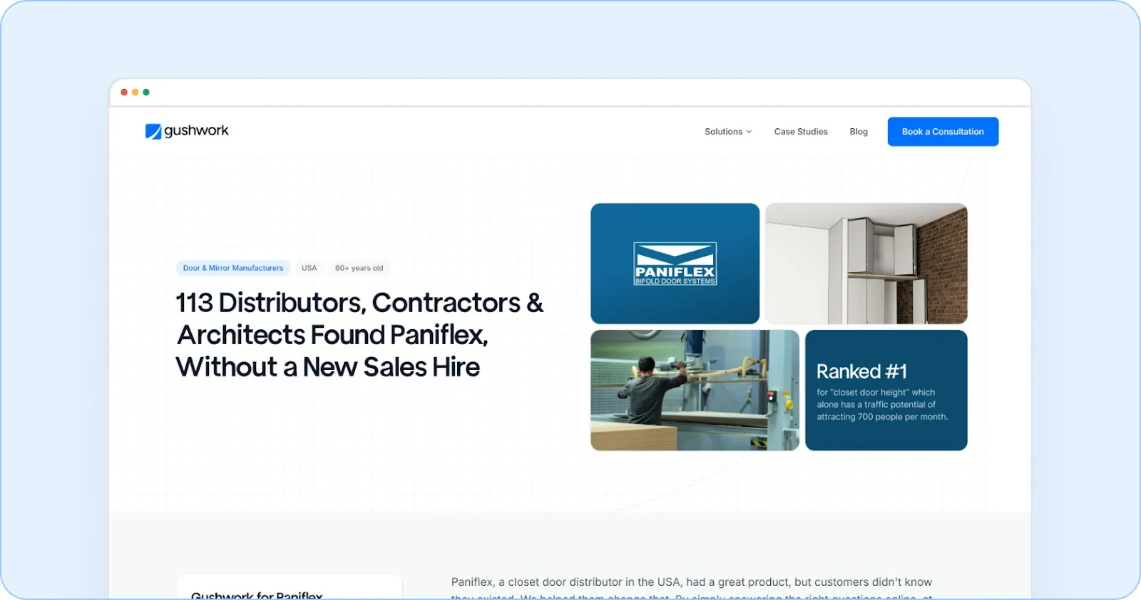 Case Study 2: Paniflex - Organic Growth with Zero Ad Spend