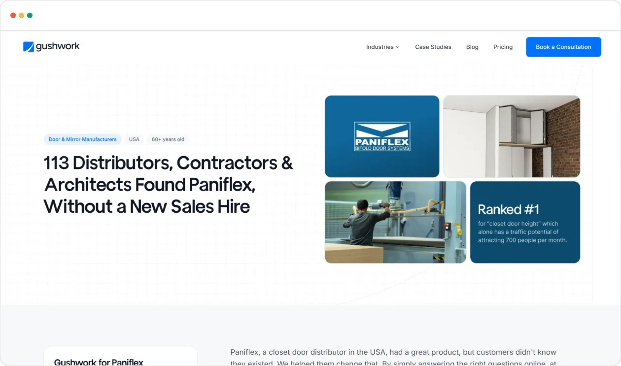 Case study showing how Paniflex attracted 113 qualified buyers in 6 months through a strategic SEO approach, boosting visibility and building lasting search authority.