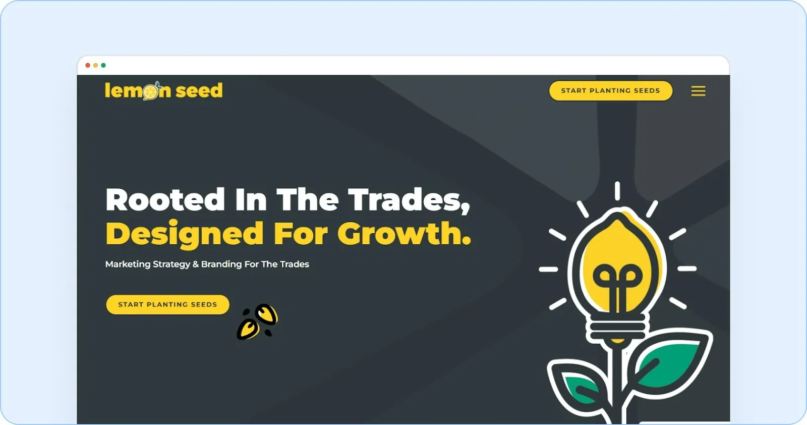 Lemon Seed Marketing