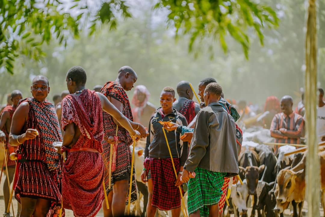 The Herd-Tracking App That’s Giving Farmers Back Their Power