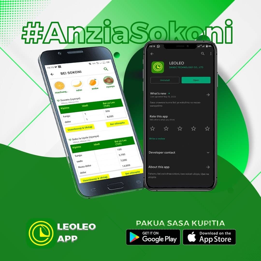 LeoLeo Gulio Smart