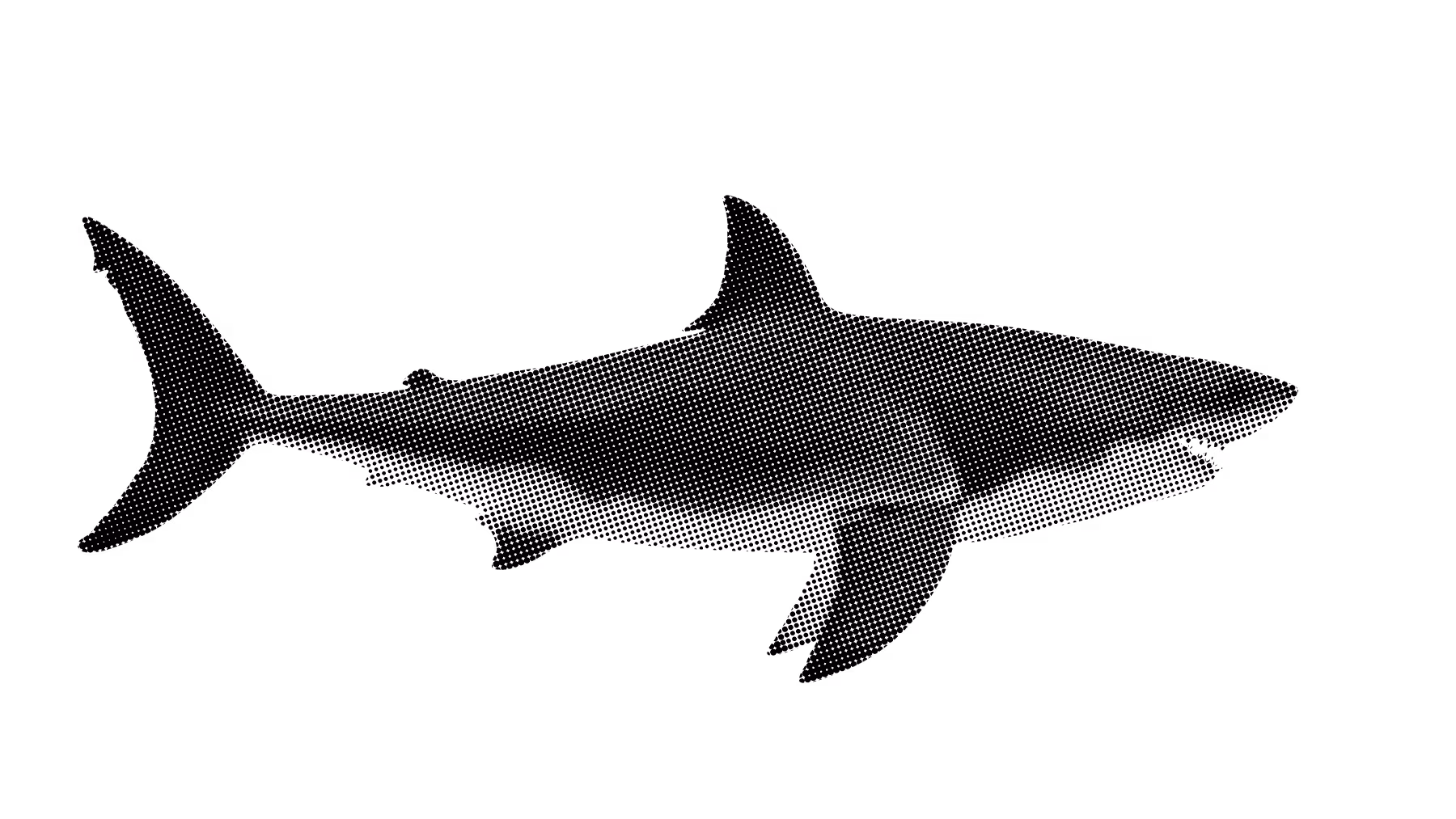 Yellowshark Heifisch freistehend in grau – Webdesign Agentur Zürich