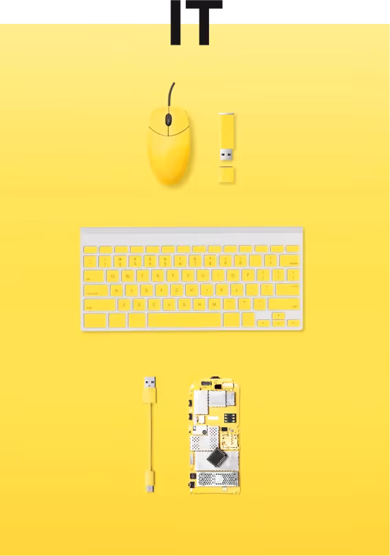Yellowshark auf gelben Hintergrund, Mouse, Tastatur und Kabel – Webagentur Zürich