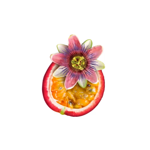 makoto-passionsfrucht – Marketing Agentur