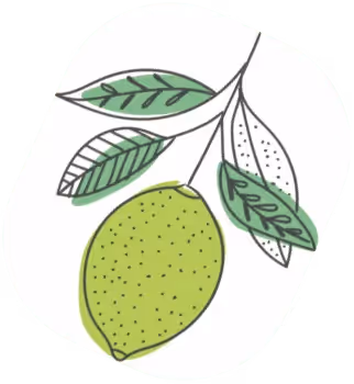 Versiet Illu Lemon in grün – Werbeagentur Zürich