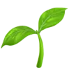 Pflancen Icon – Werbeagentur Zürich