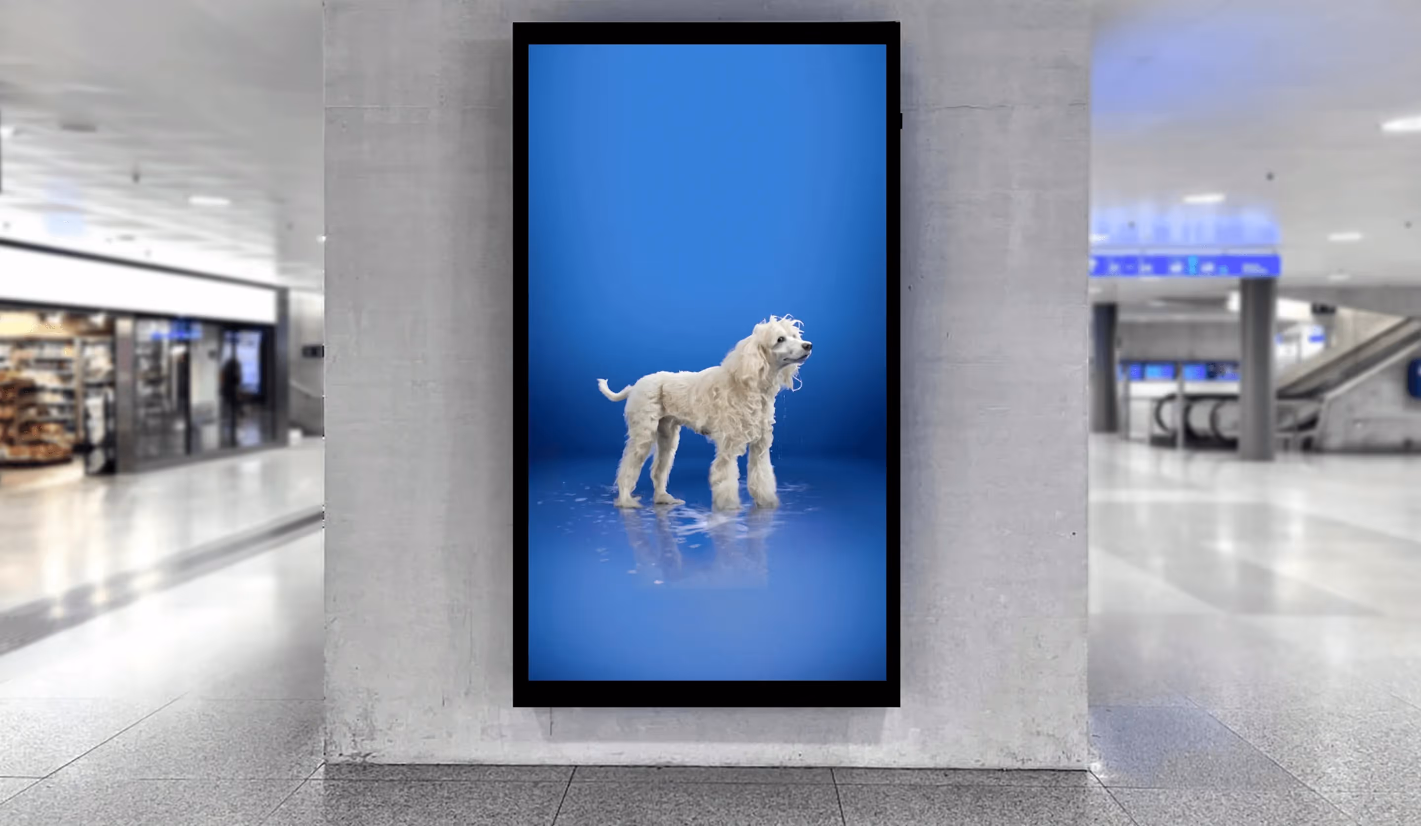 PET DOOH Kampagne mit Hund – Werbeagentur Zürich