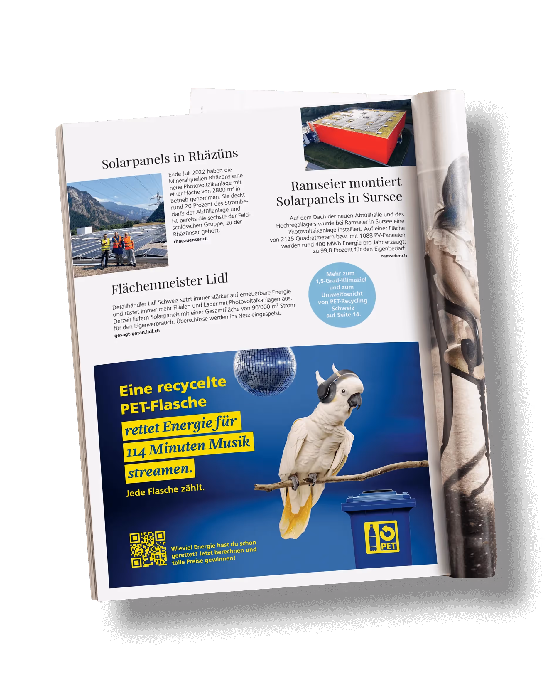 Broschüre PET – Marketing Agentur