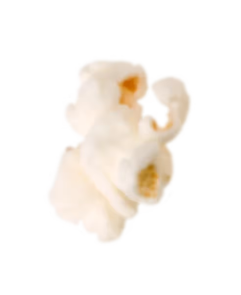 Popcorn popt – Werbeagentur Zürich 03