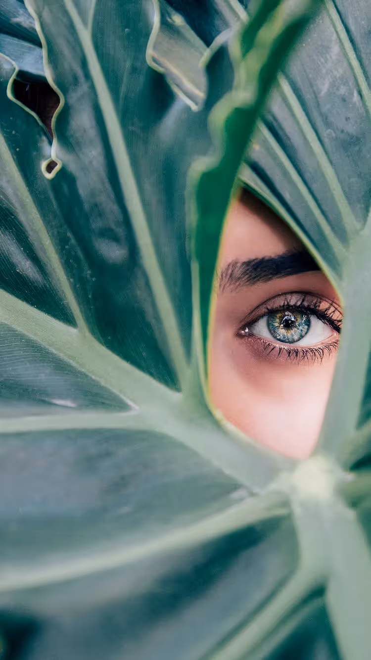 Detailaufnahme eines Auges hinter tropischen Blättern im Wellness- & Lifestyle-Kontext von FORTYSEVEN