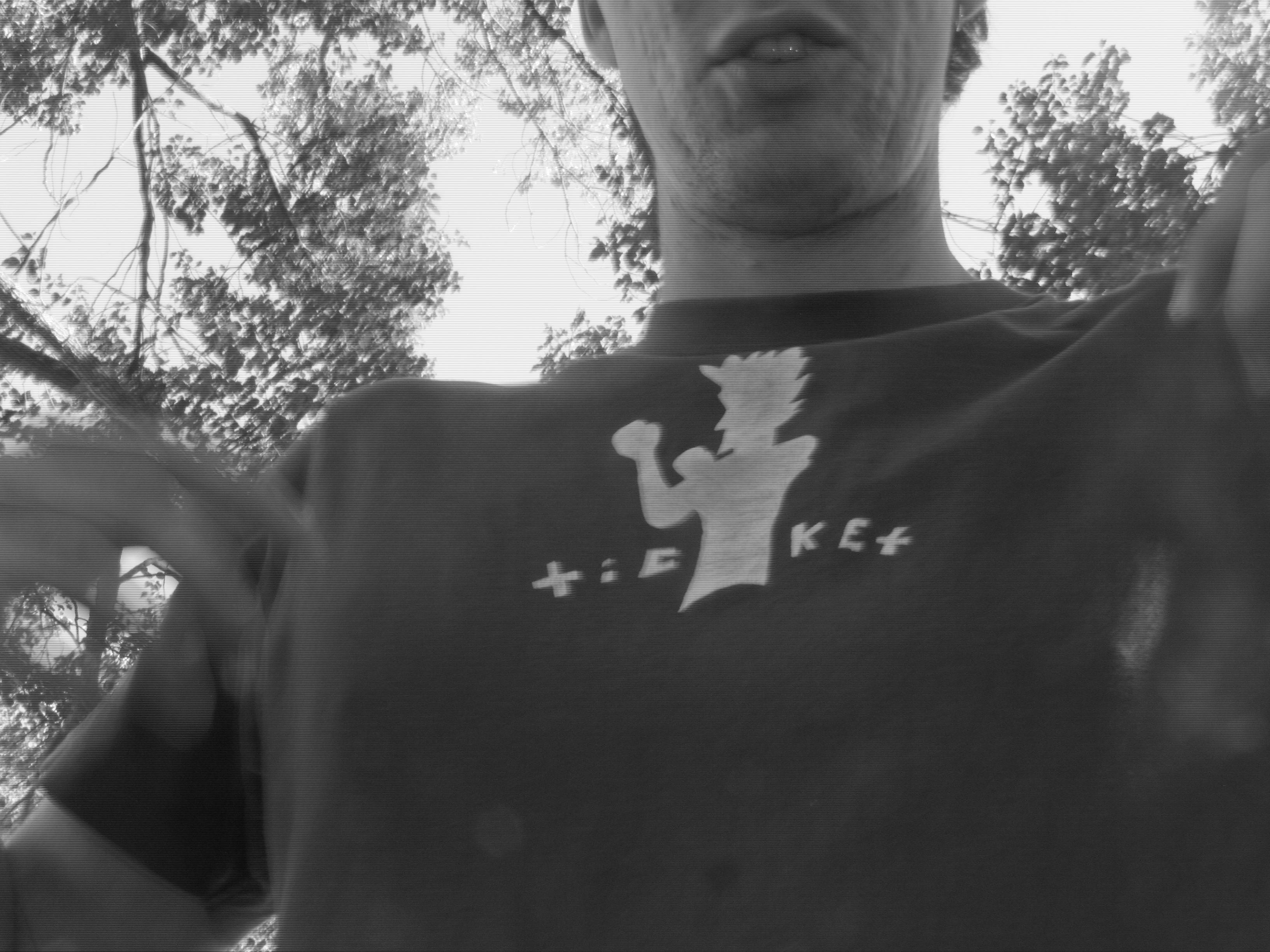 A man standing in front of a tree holding a frisbee.