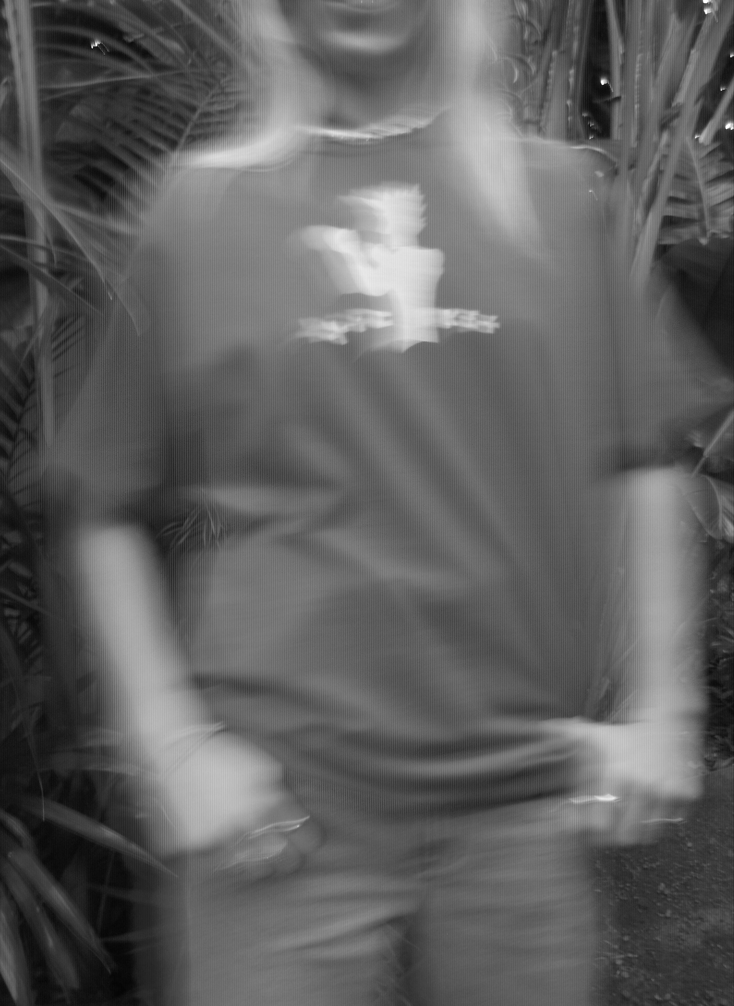 A blurry photo of a man standing in front of a bush.