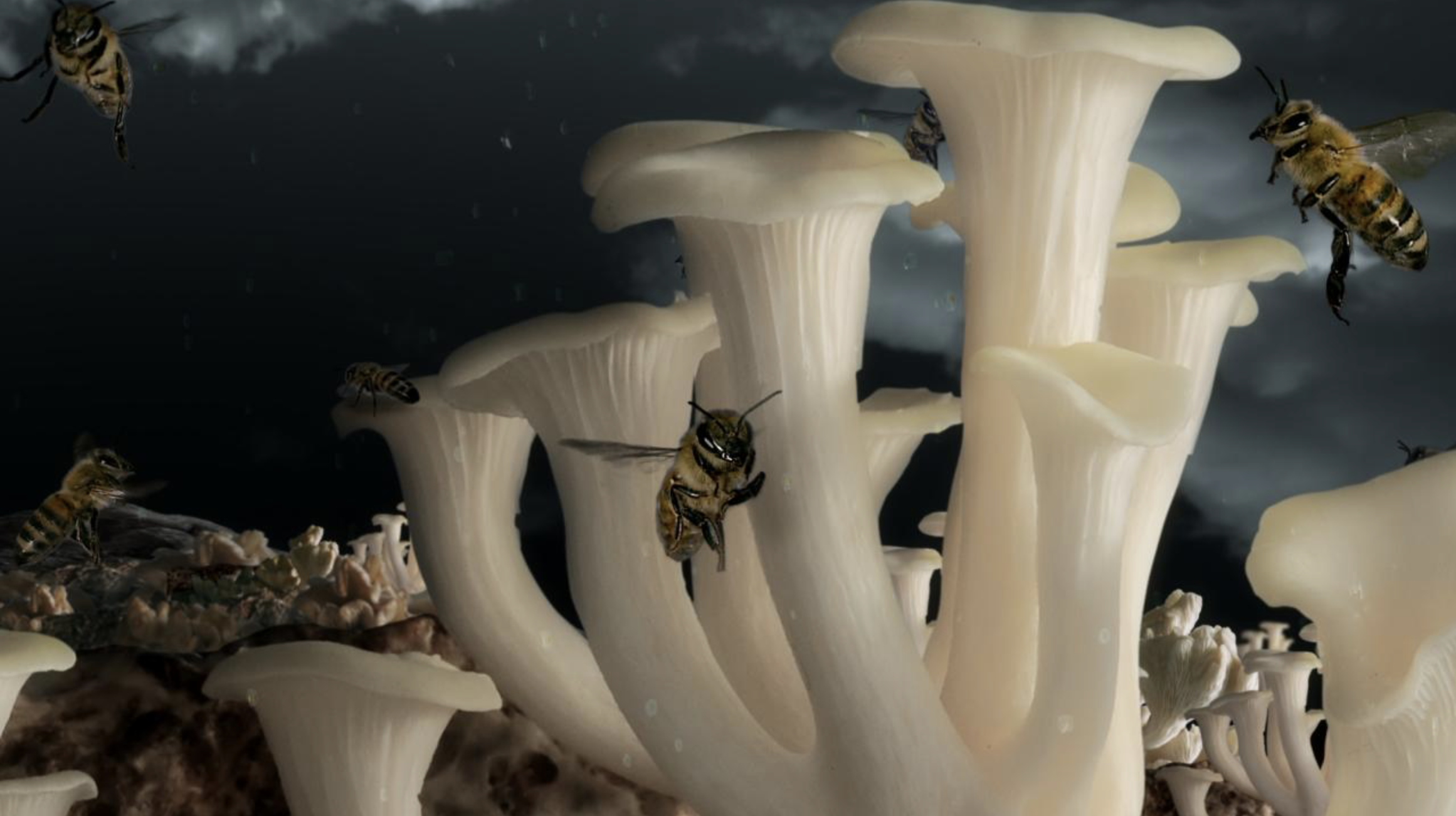 Seto Momoko, ‘Planet ∑’, 2014, film still, 11 min 40 sec. Courtesy of Mori Art Museum.
