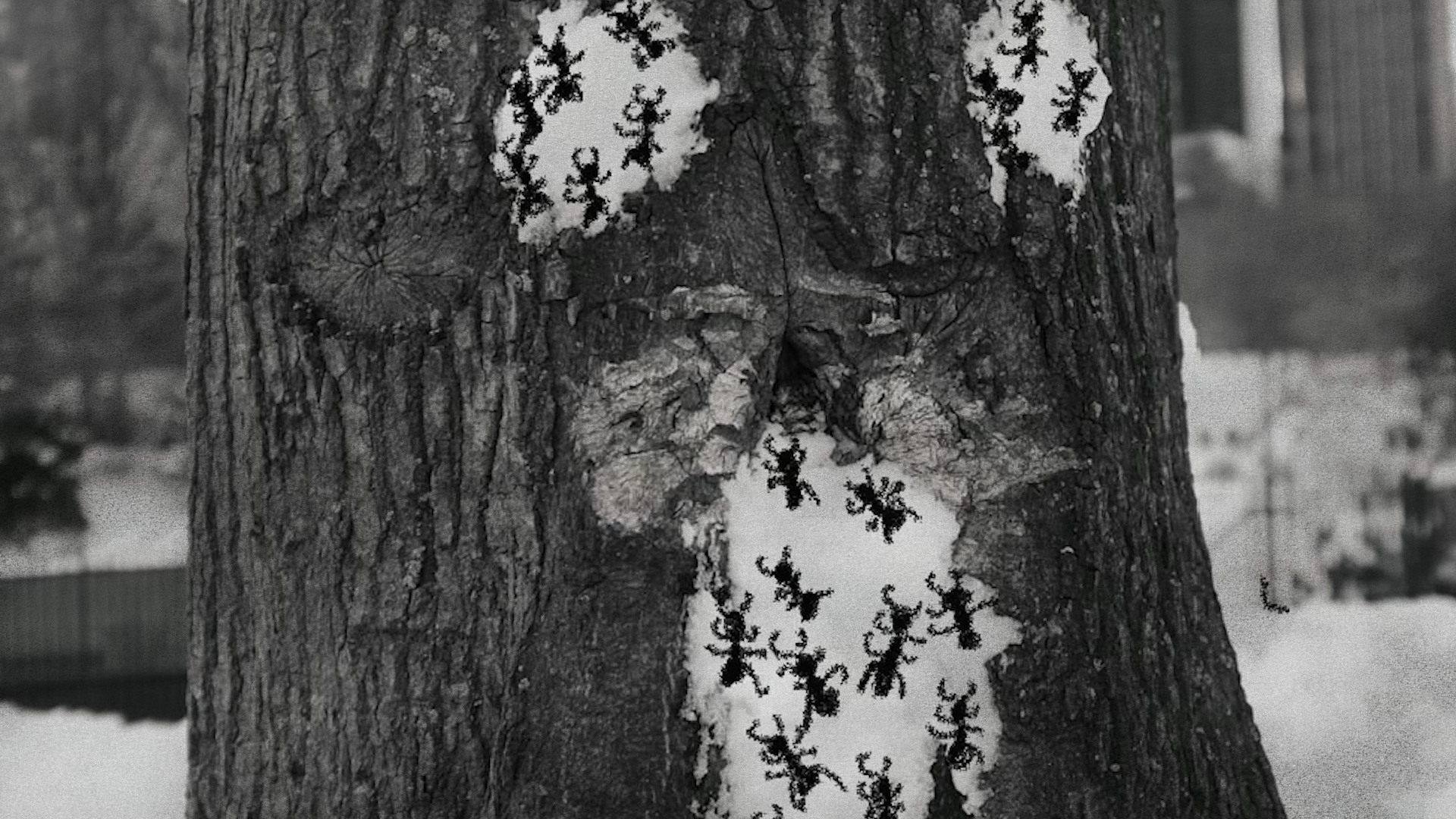 'The Altar', Moe Myat May Zarchi, 2023, film still. Image courtesy of Queer East.