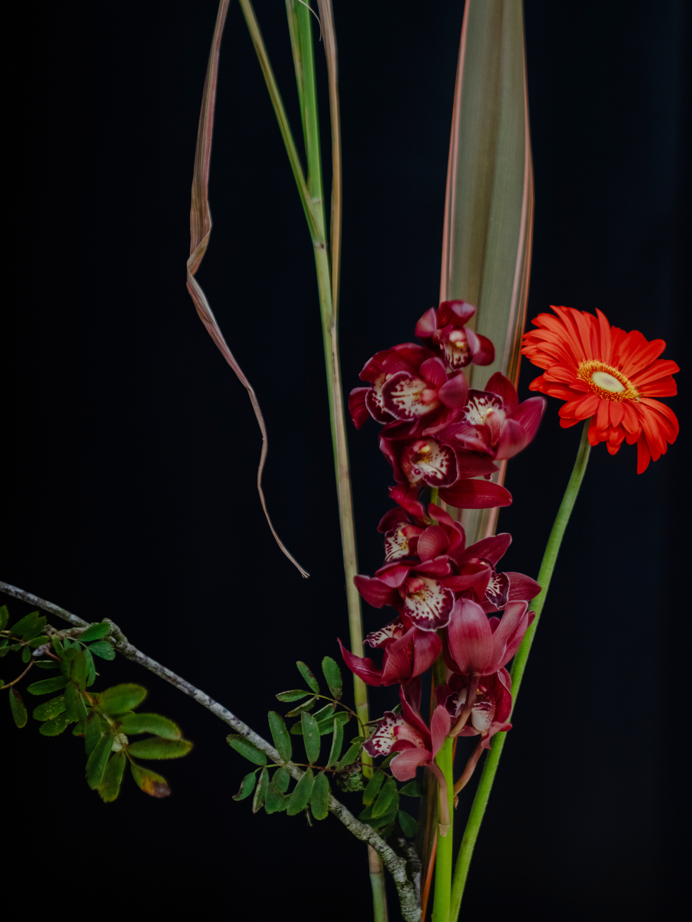 Image of Junko Popham. Photographed by Mario Popham. 