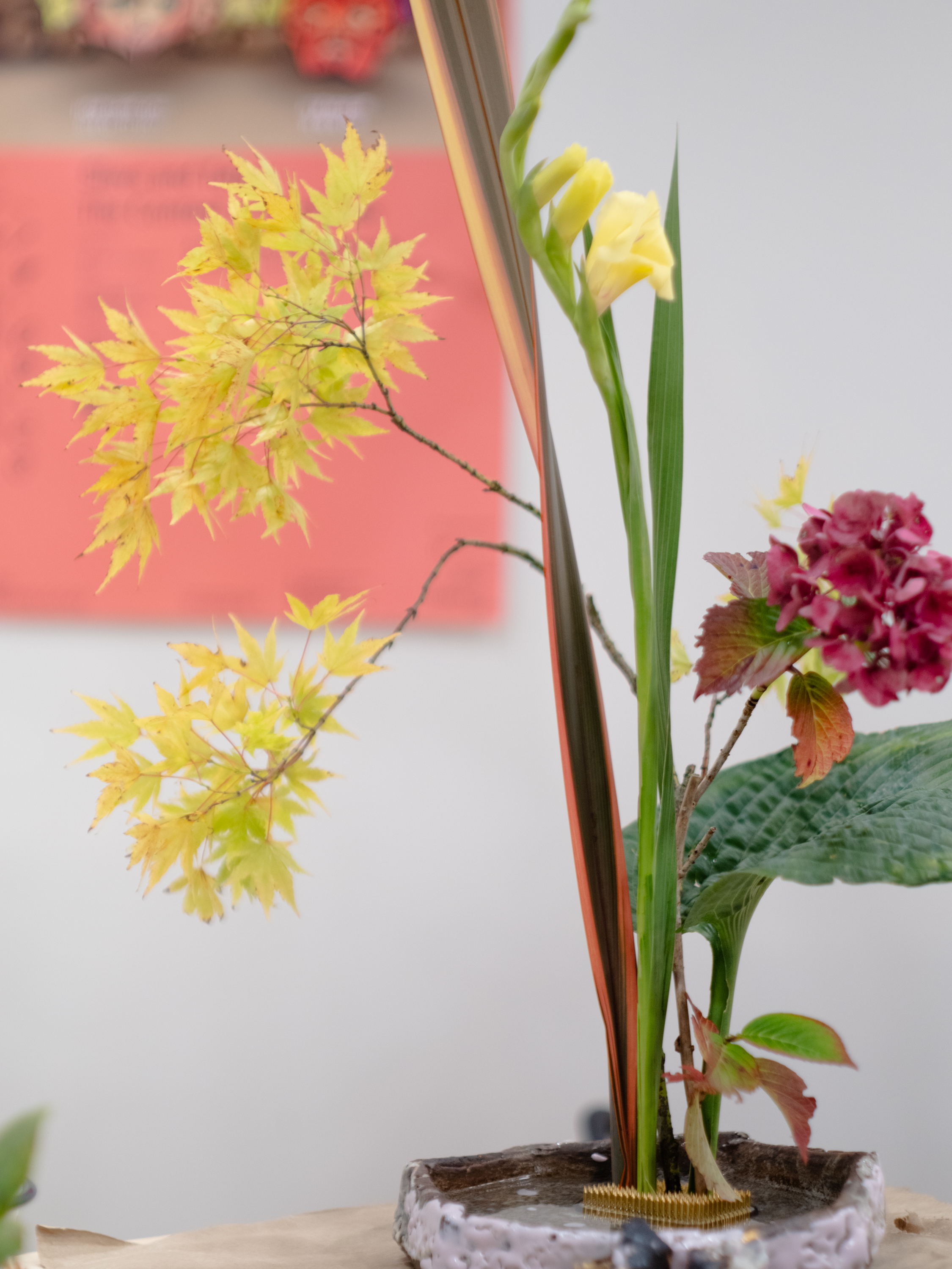 Image of Junko Popham. Photographed by Mario Popham. 