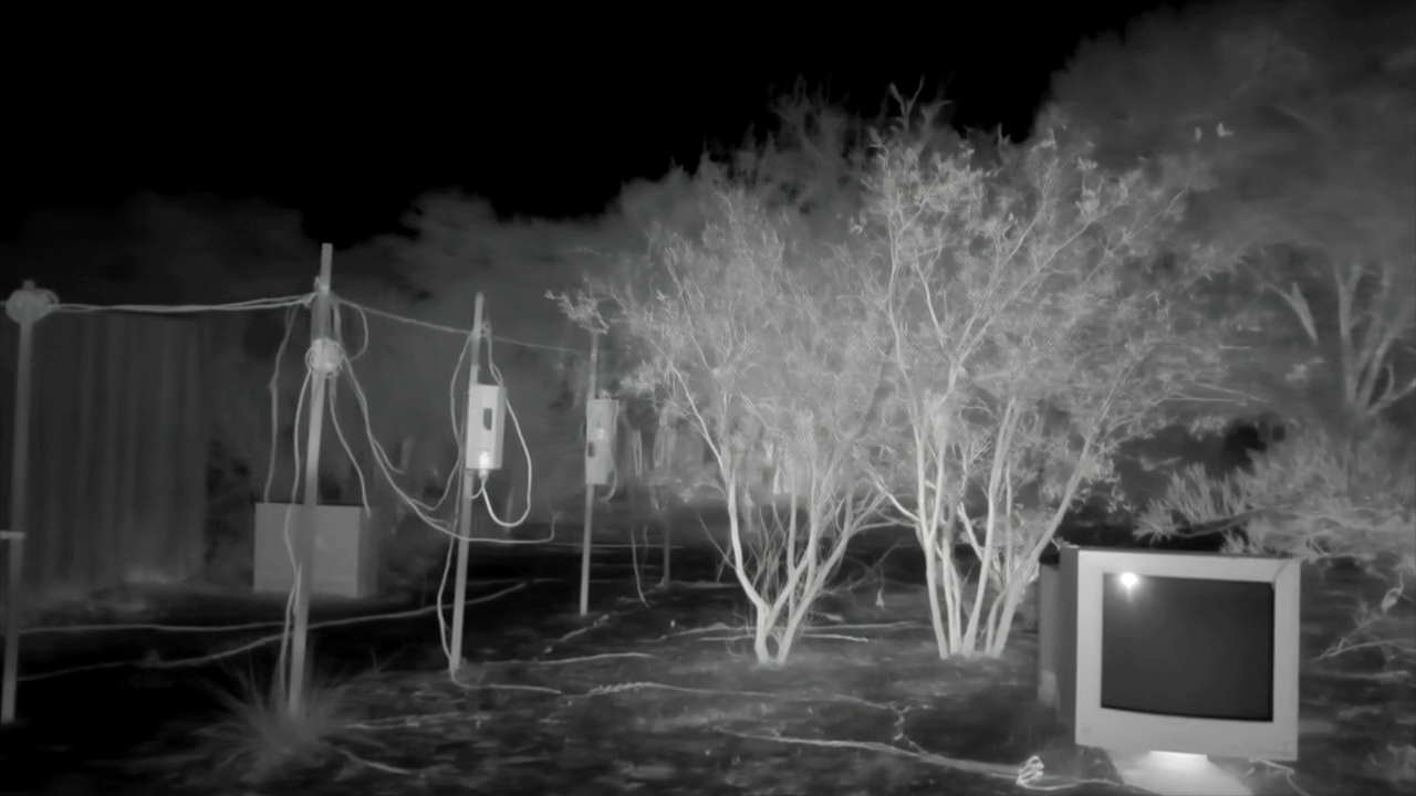 'Undead Internet Theory' (2025), film still. Courtesy of Y7.