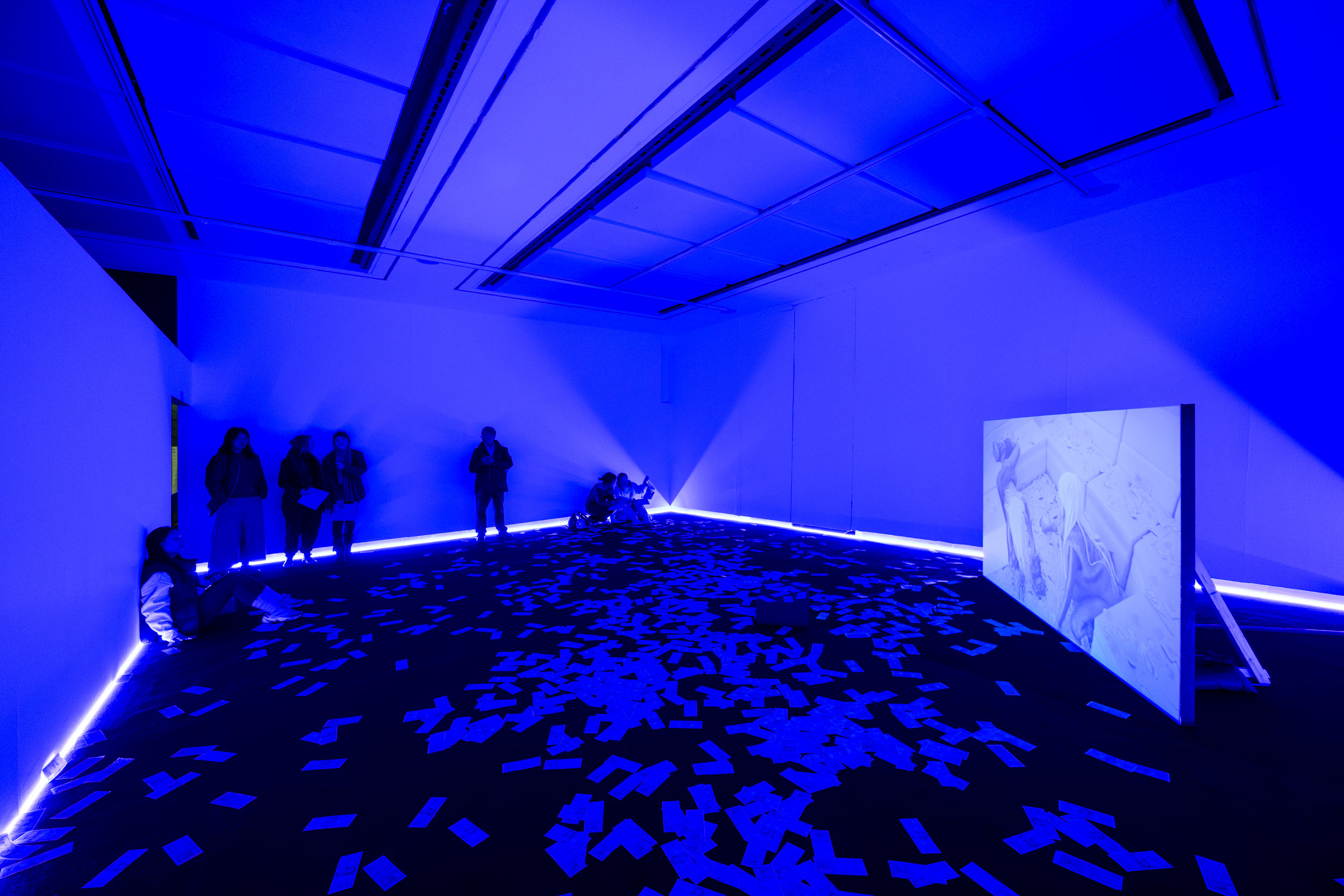 'Nocturnal Melody' exhibition preview, photograph by Jules Lister.